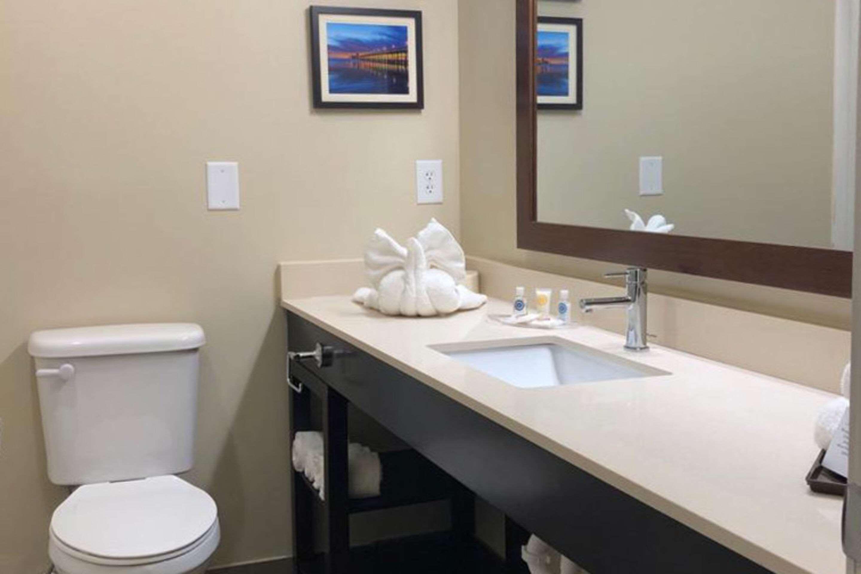 Comfort Suites Near Camp Lejeune Jacksonville Zewnętrze zdjęcie